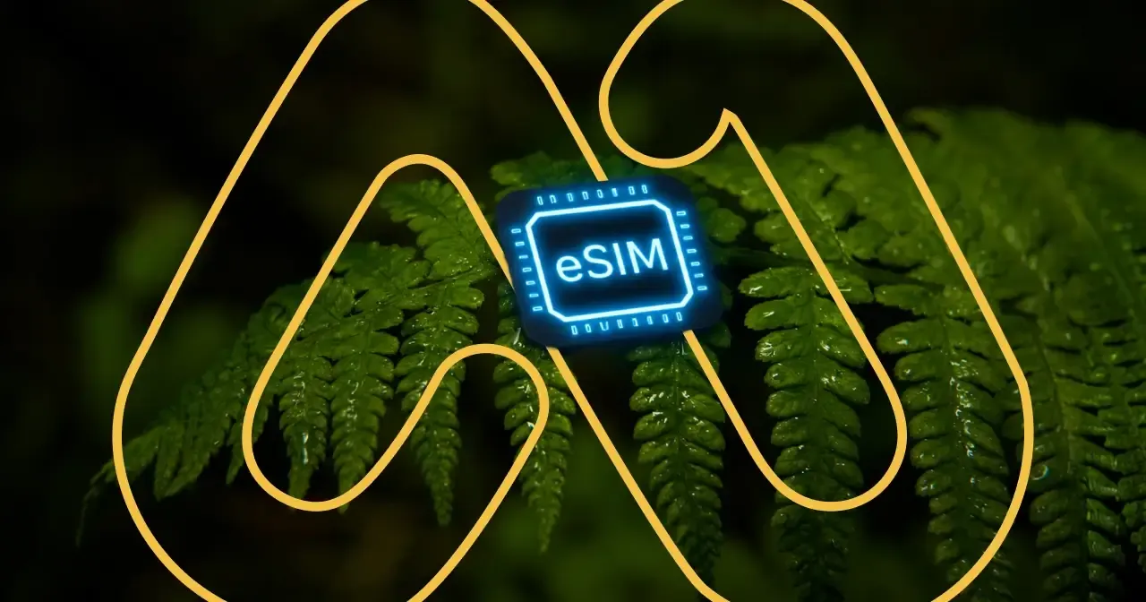 Plastic Pollution vs. Digital SIMs: The Environmental Impact of Travel Tech